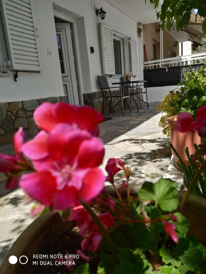 דירות קאלאבאקה Chrysanty'S Tea House מראה חיצוני תמונה
