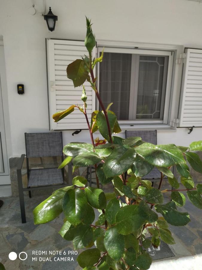 דירות קאלאבאקה Chrysanty'S Tea House מראה חיצוני תמונה