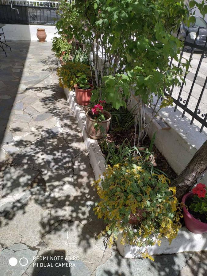 דירות קאלאבאקה Chrysanty'S Tea House מראה חיצוני תמונה