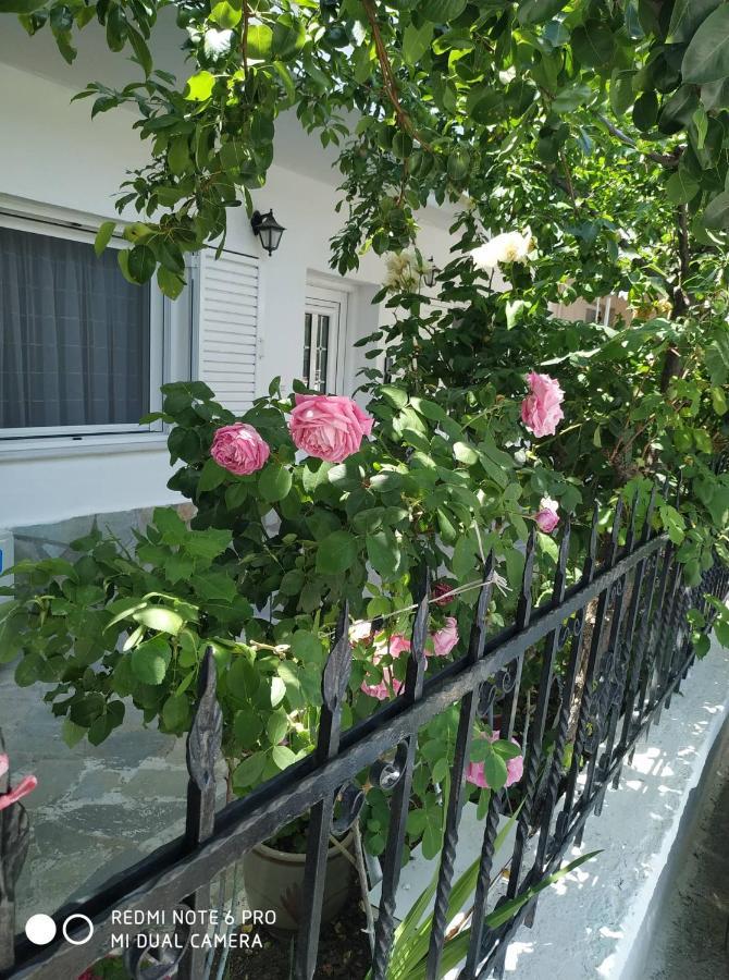 דירות קאלאבאקה Chrysanty'S Tea House מראה חיצוני תמונה
