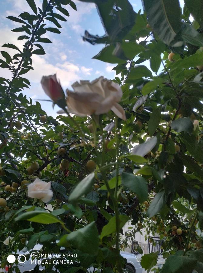 דירות קאלאבאקה Chrysanty'S Tea House מראה חיצוני תמונה
