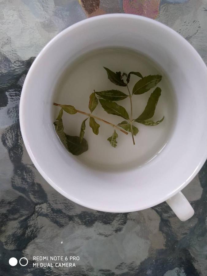 דירות קאלאבאקה Chrysanty'S Tea House מראה חיצוני תמונה